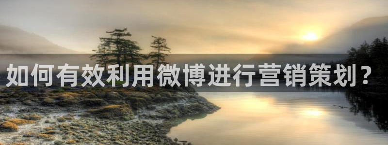 必赢客安卓版
