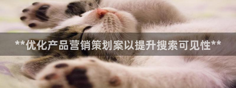必赢官网网站入口