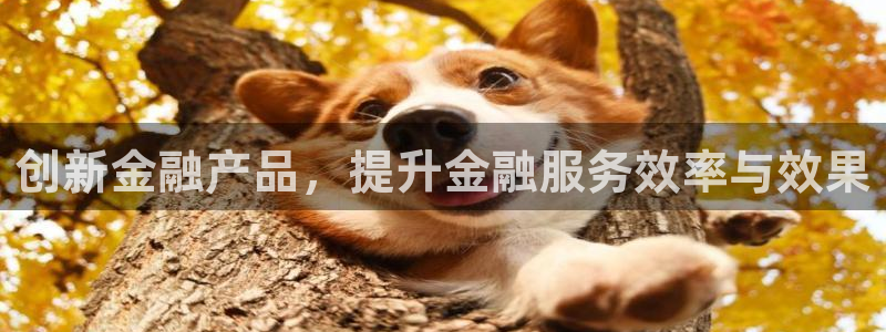 必赢官网入口下载安装苹果