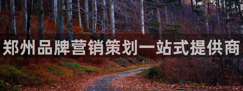 9965必赢棋官方网站怎么样