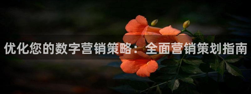 必赢手机app下载最新版本安装
