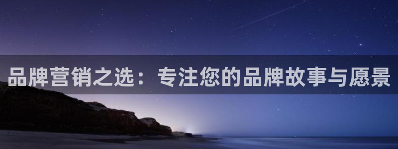 必赢公司是怎样的一家企业