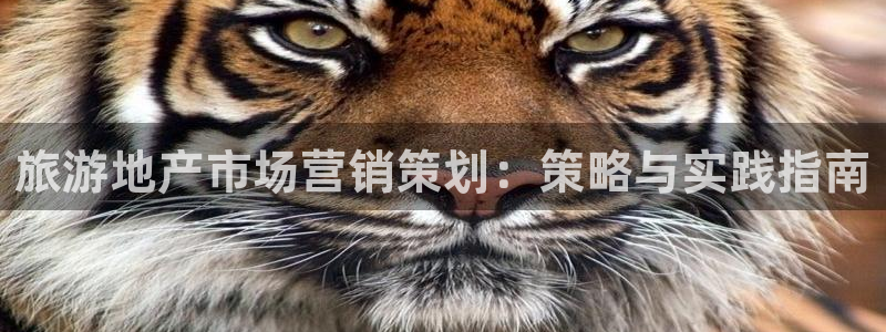 必赢线上网址是多少