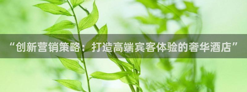 必赢棋盘官网版