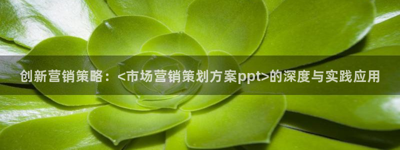 必赢下载官方