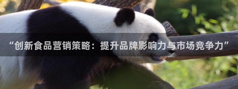 必赢集团