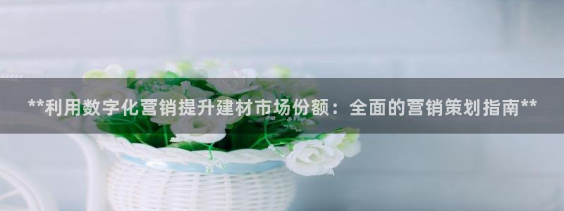 56.nt必赢官网