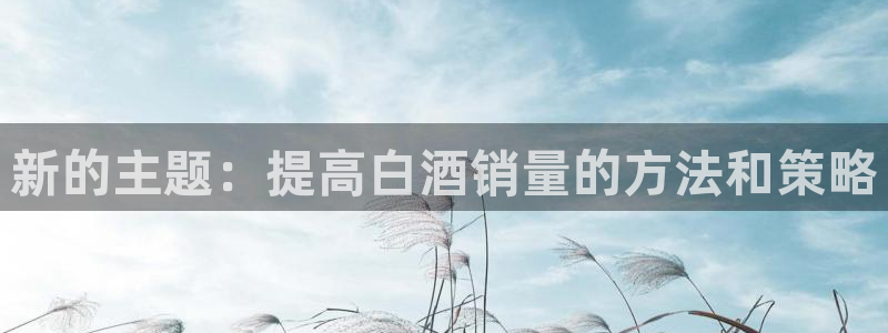 必赢网站打不开