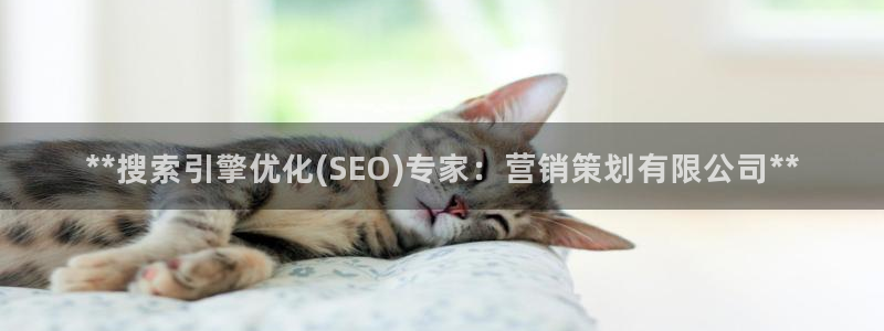 必赢网站是哪一个平台