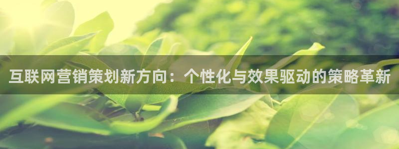 9965必赢游戏特色