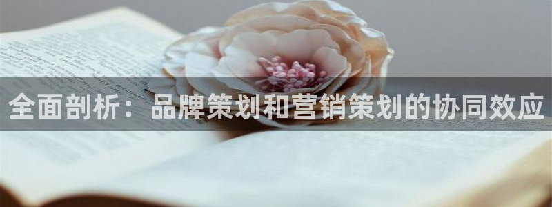 必赢手机app下载官网最新版