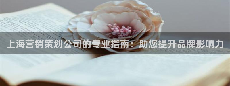 必赢集团网站