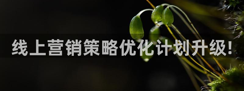 必赢这个软件怎么样知乎