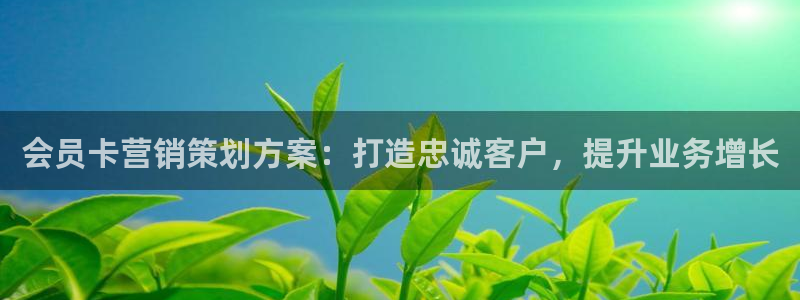 必赢net.95
