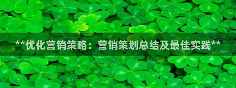 必赢国际是什么