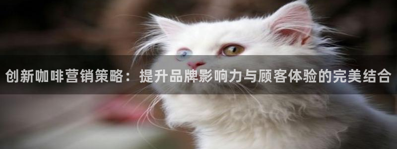 必赢国际437app下载