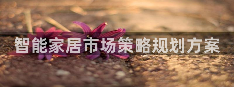 必赢网怎么打不开了呀