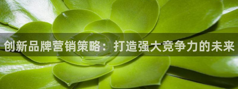 必赢app客户端下载官网手机版