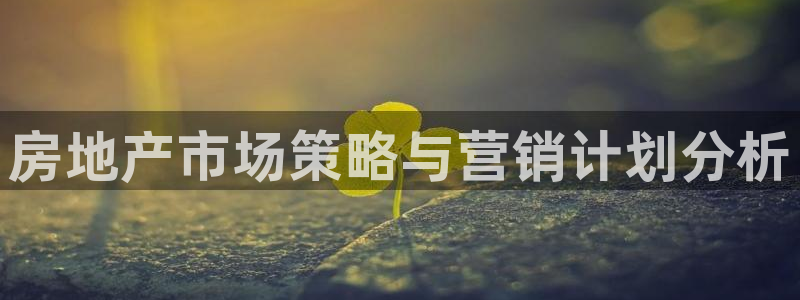 必赢公司是怎样的一家企业