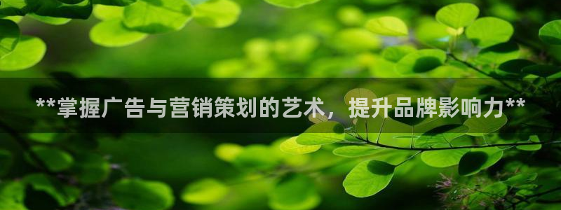 必赢国际437官方简介