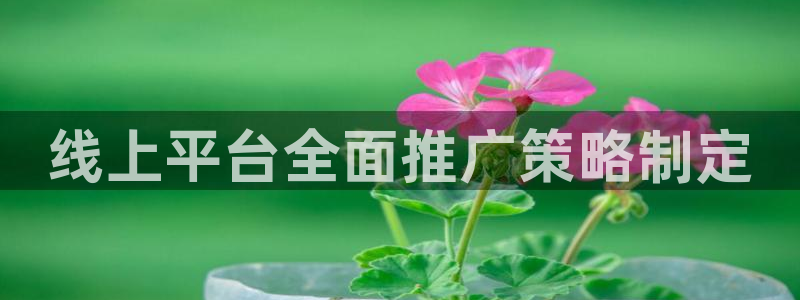 必赢手机版app下载官网