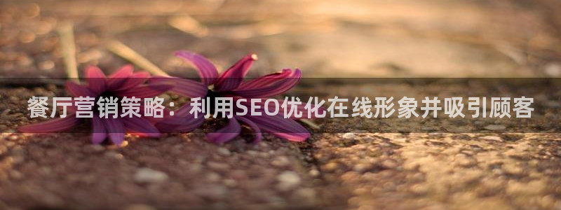 必赢公司