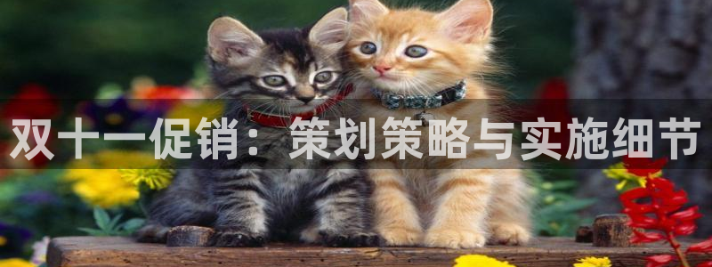 必赢亚赢网站官网下载安卓手机