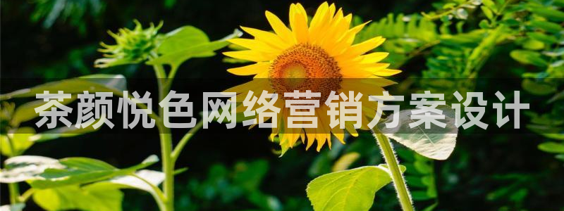 必赢7321取不出钱
