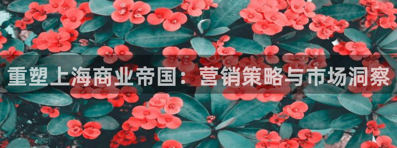 必赢棋盘官网版