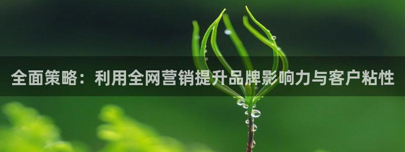 必赢手机app下载抢红包