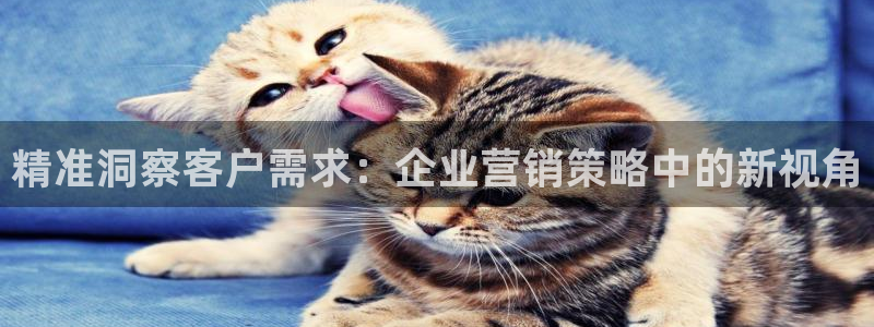 必赢网怎么打不开了