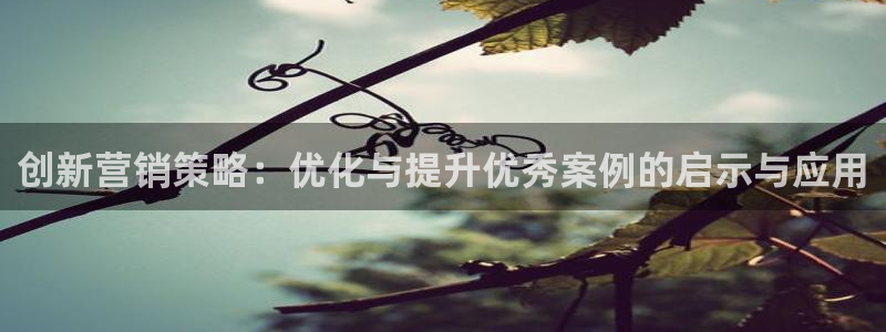 必赢网怎么打不开了呀