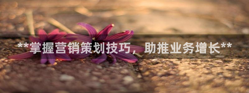 必赢下载安卓版