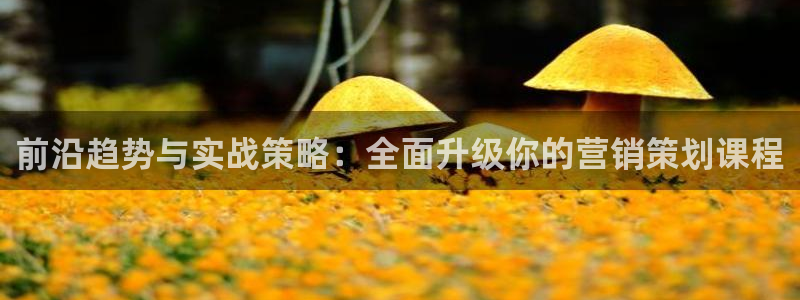 必赢客安卓版