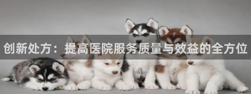 必赢国际437官方
