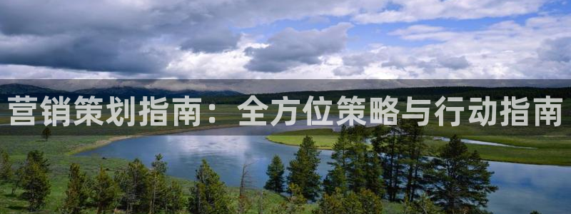 必赢平台网