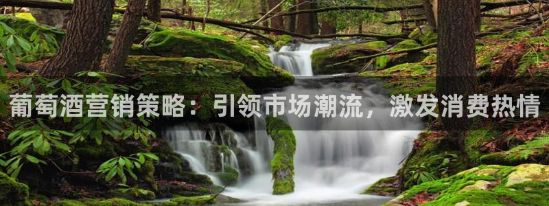 必赢平台官方下载