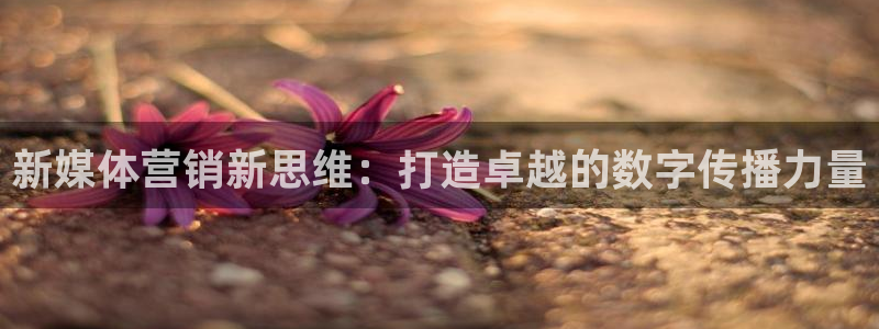 必赢必赢
