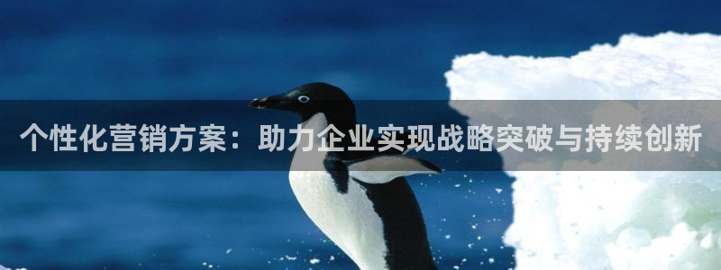必赢官网网站入口