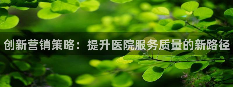 必赢网站是哪一个公司的：创新营