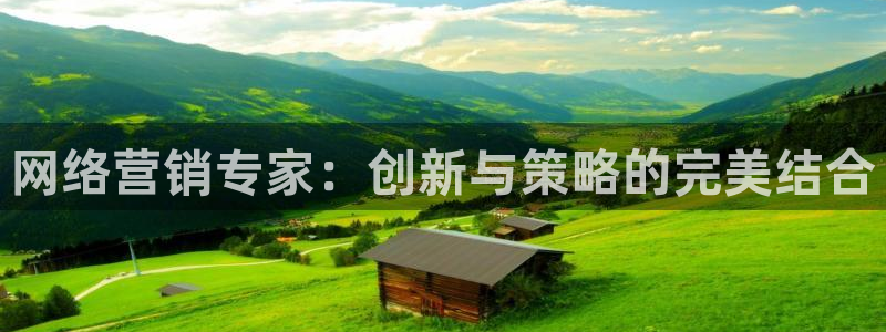 必赢官网入口下载：网络营销专家