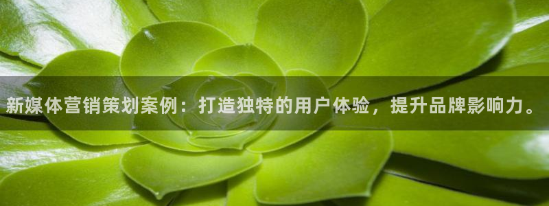 必赢网站平台登录：新媒体营销策