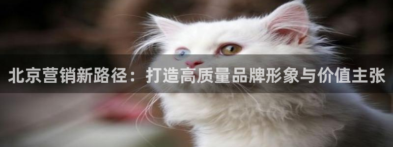 必赢3003+会员账号：北京营