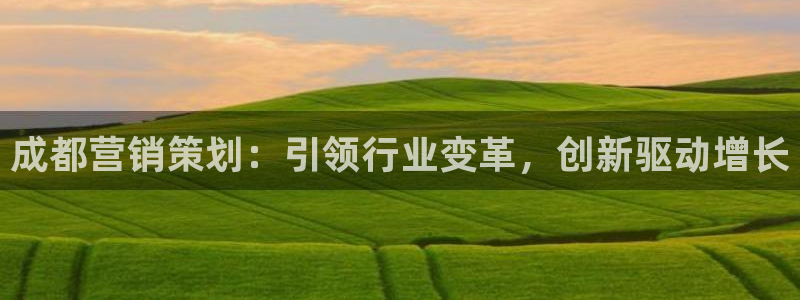 必赢旧网站：成都营销策划：引领
