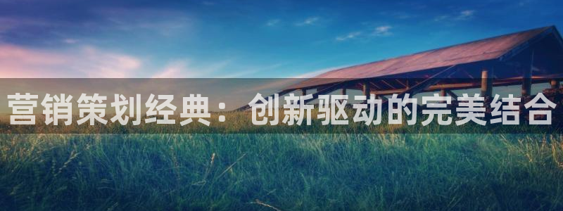 必赢3003手机网页版：营销策
