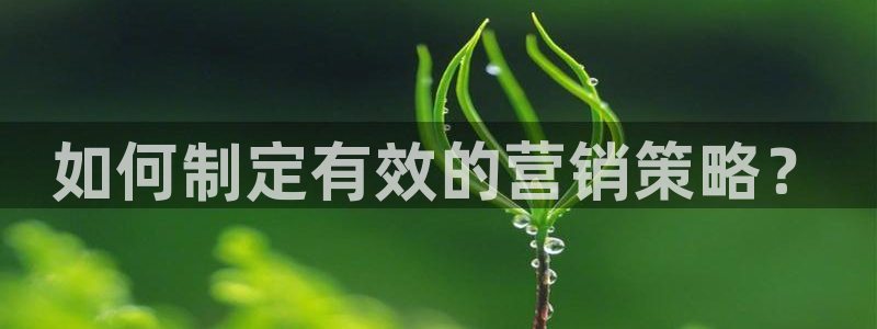必赢这个平台怎么样可靠吗