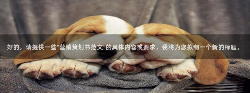 必赢565net官网网站