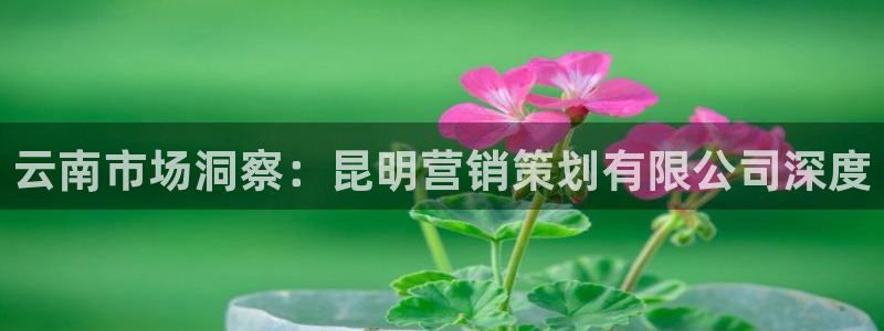 必赢手机app下载最新版安卓苹果可以用吗