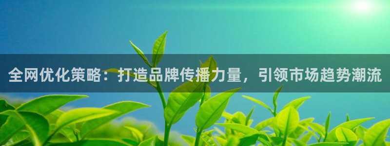 必赢科技北京有限公司