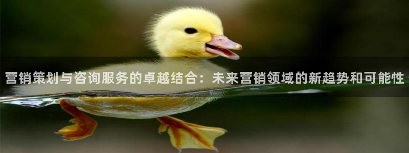必赢.apk